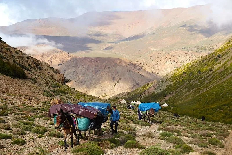 M’Goun, 9-day cultural trek in the Atlas Mountains of Morocco